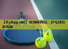 欧洲杯网站:乒乓球台多高啊
