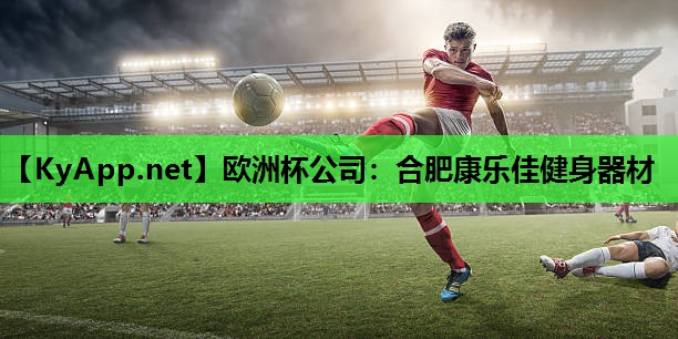 欧洲杯公司:合肥康乐佳健身器材