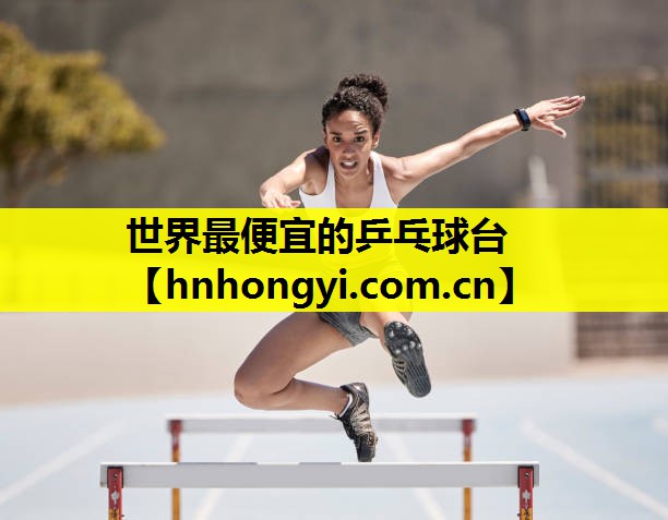 世界最便宜的乒乓球台