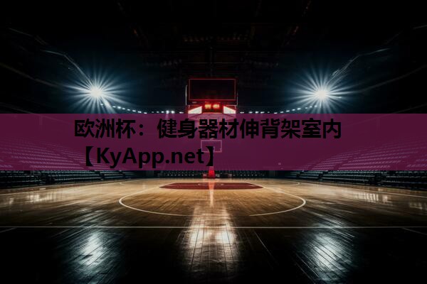健身器材伸背架室内