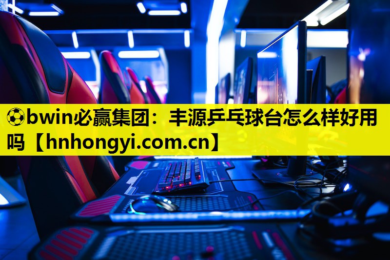 丰源乒乓球台怎么样好用吗