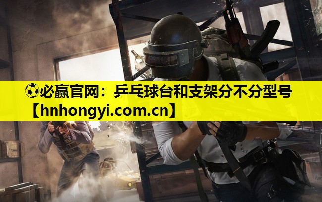 乒乓球台和支架分不分型号