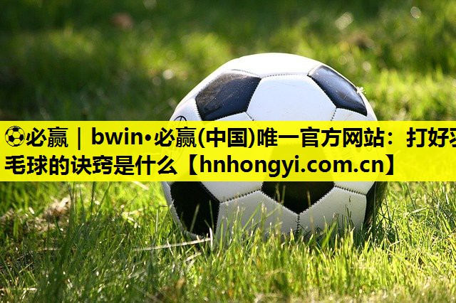 打好羽毛球的诀窍是什么
