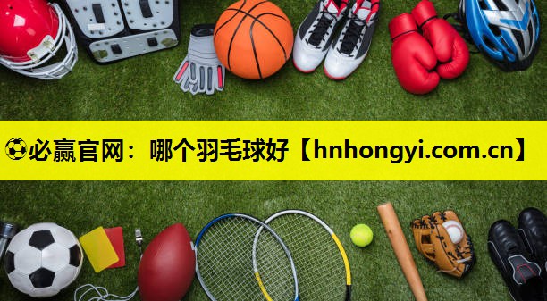 哪个羽毛球好