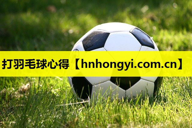 打羽毛球心得