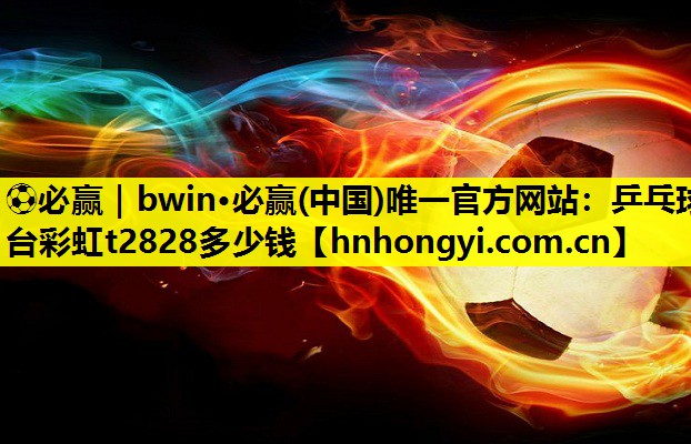 乒乓球台彩虹t2828多少钱