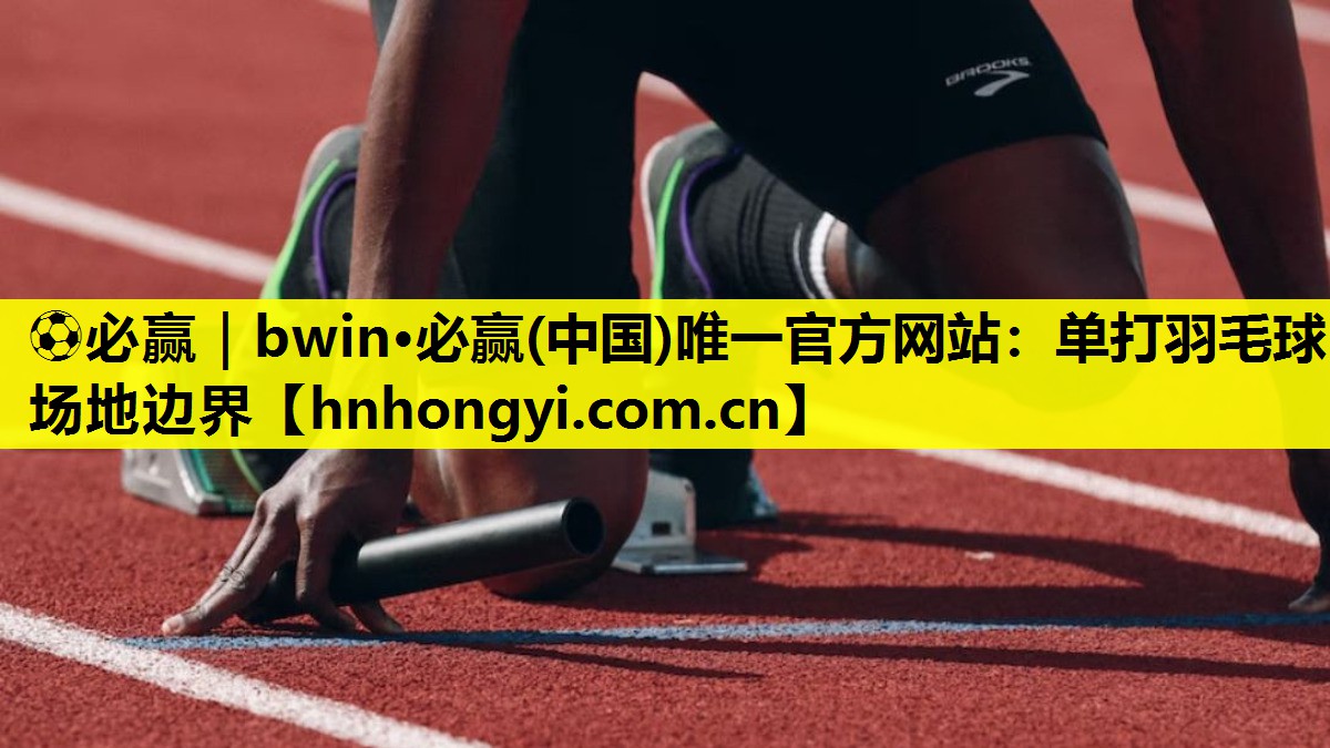 单打羽毛球场地边界