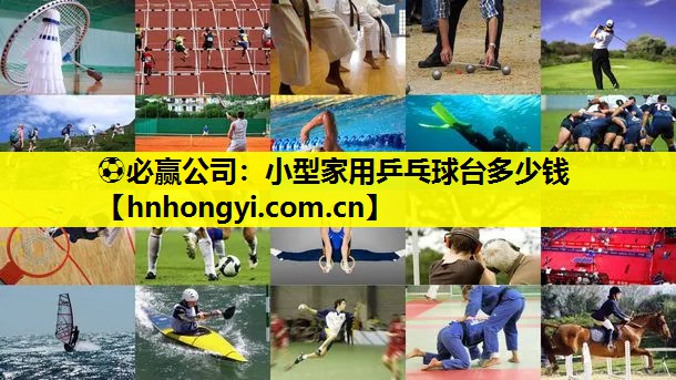 小型家用乒乓球台多少钱