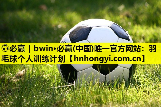 羽毛球个人训练计划