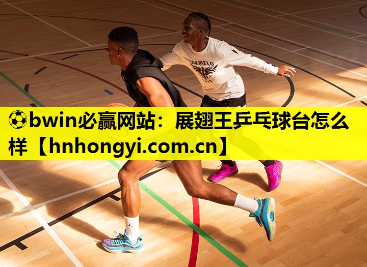展翅王乒乓球台怎么样